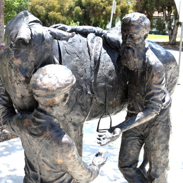 _003196DSC_2575RAW edited v1