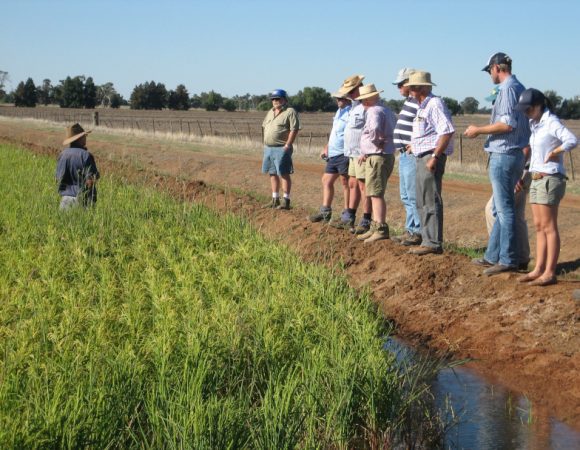 2016-02-18 06.40.38 SCALED