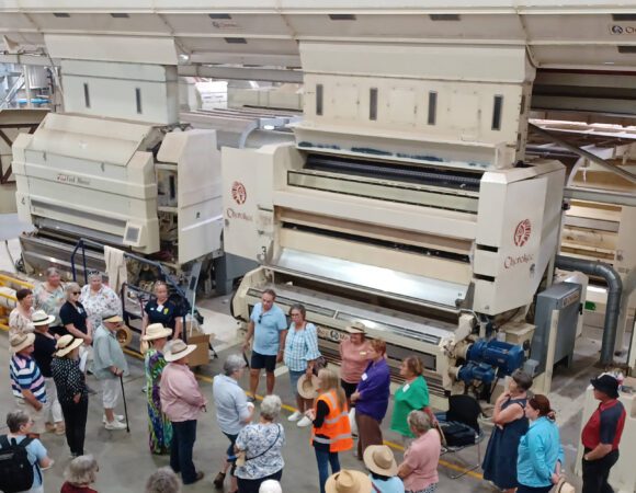 20240213_121729 edited v2 scaled