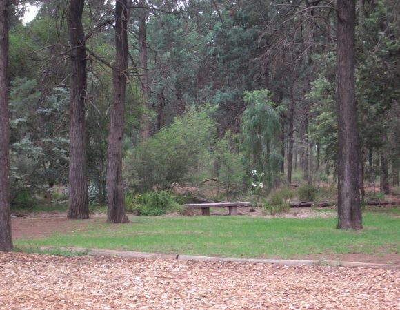 458212_155839951207404_1808920822_o