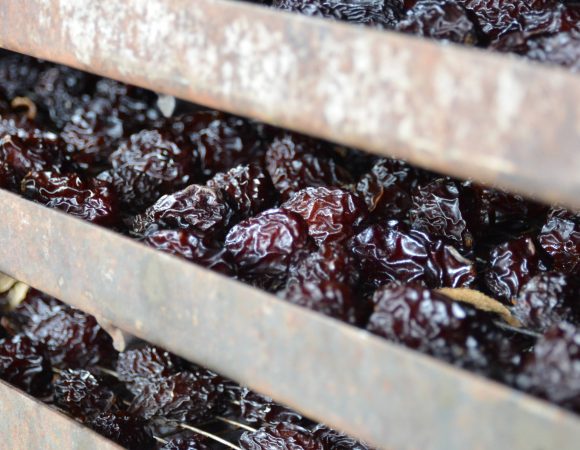 DSC_0168edited scaled