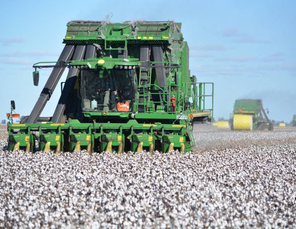 DSC_0439 edited scaled