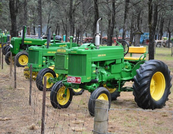 DSC_1446 edited scaled