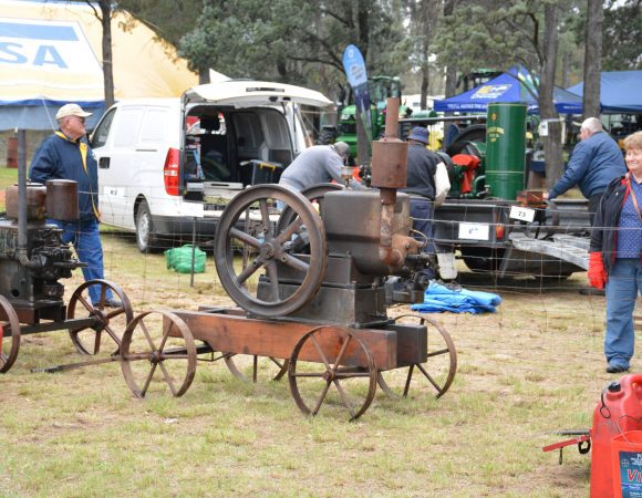 DSC_1480 edited scaledpng