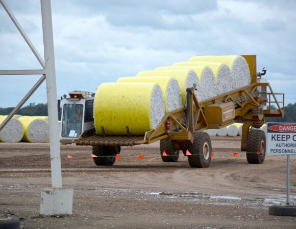 DSC_1541 edited scaled