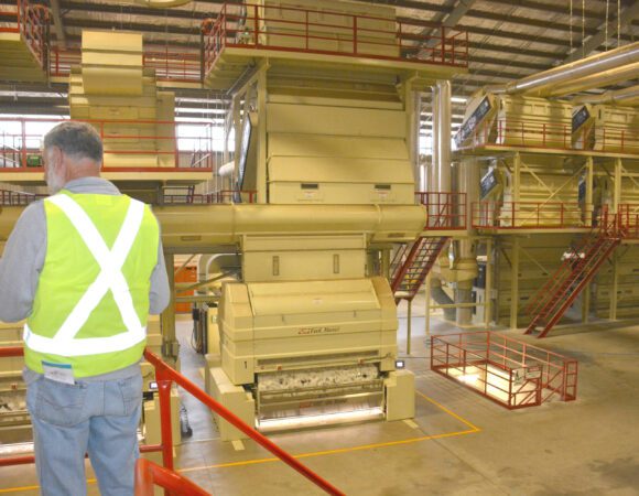 DSC_1555 edited Ginning v1 scaled