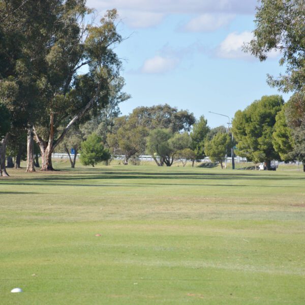 DSC_1832 edited v2scaled