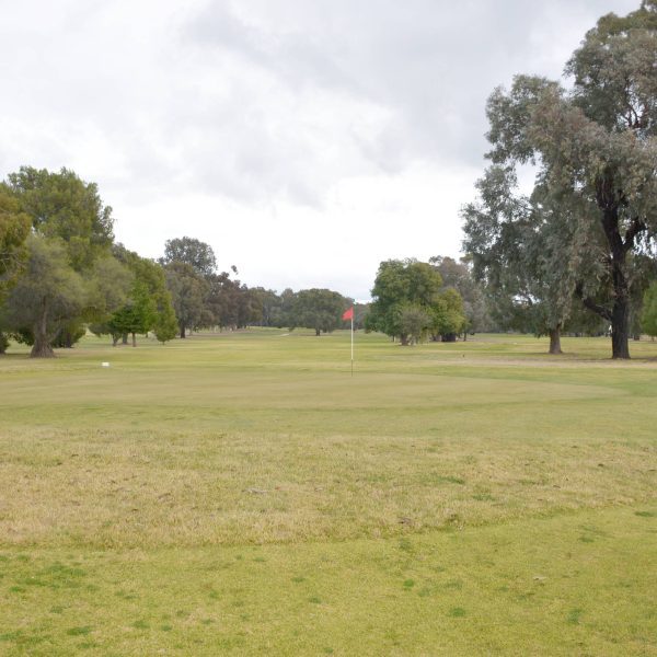 DSC_2107 edited v3scaled