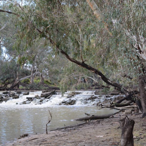 DSC_2659edited scaled