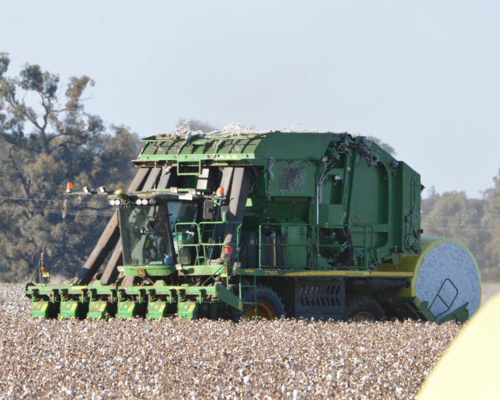 DSC_2700edited v1scaled