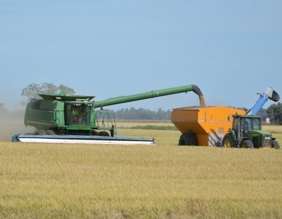 DSC_2999edited vscaled