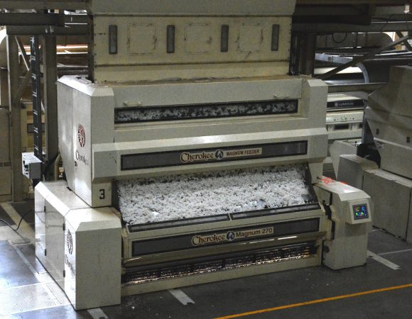 DSC_3975 edited v2scaled