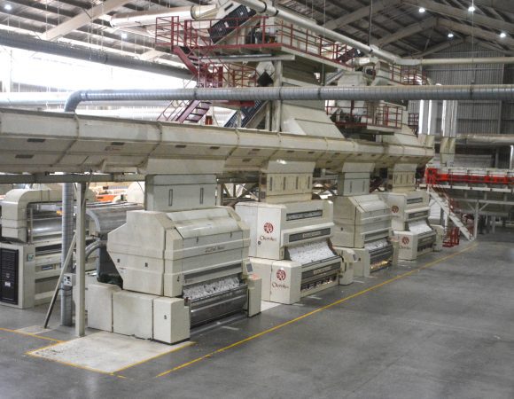 DSC_3993edited v2 scale