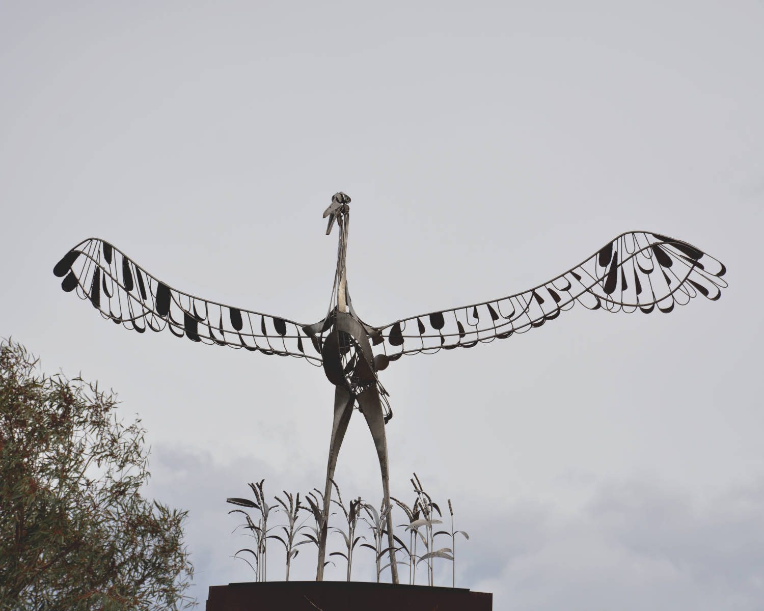 DSC_8752edited v3scaled