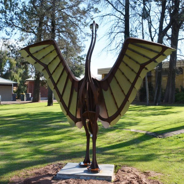 DSC_8808 coly brogla v1scaled