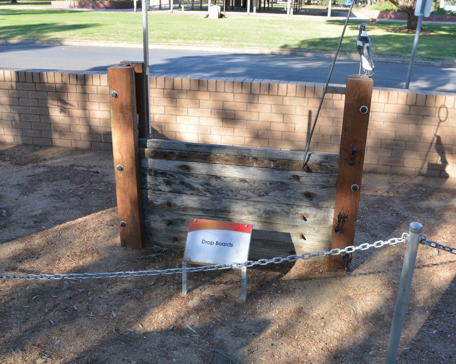 DSC_8848edited v1scaled