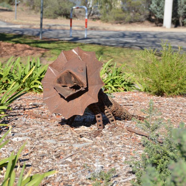 DSC_8853 edited v1scaled