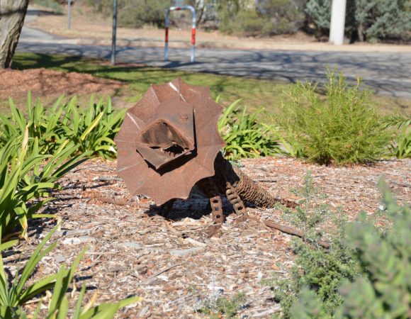 DSC_8853 edited v1scaled