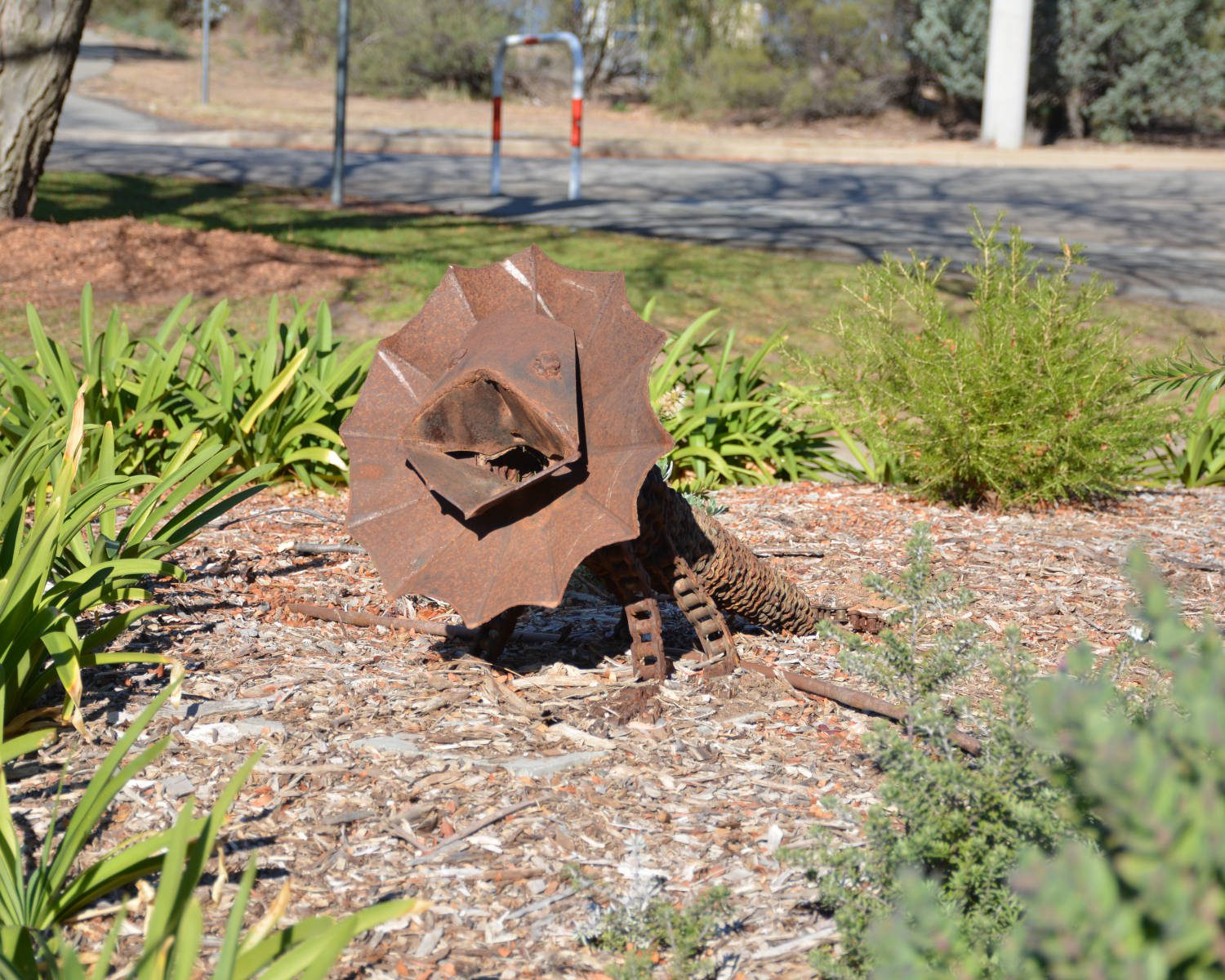 DSC_8853 edited v1scaled