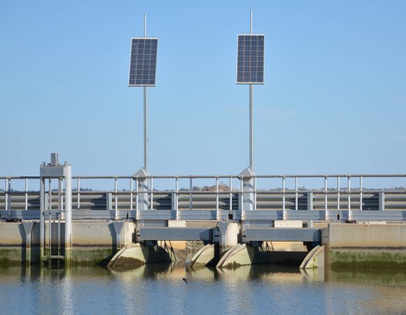 DSC_8865editedScaled