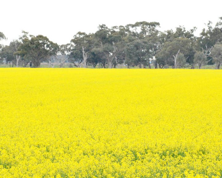 DSC_9466 editedsquare v4scaled