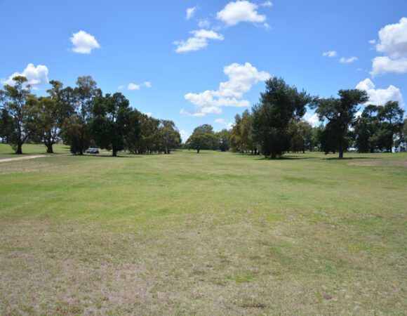 DSC_9874Fairway 3 scaled