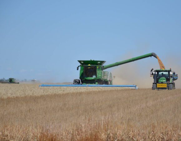 DSC_9911edited v1scaled