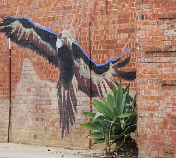 FB_IMG_1683696184511