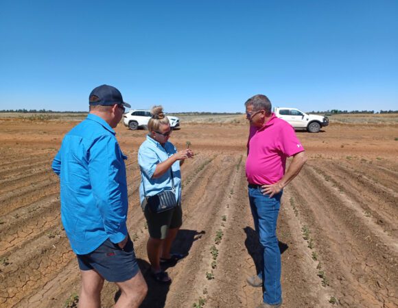 Kennedy's meet Paul Flewitt cotton farmer scaled